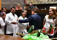 Foto de la galería: Misiones tendrá su Instituto de Medicina Regenerativa y Traslacional