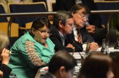 Foto de la galería: Misiones tendrá su Instituto de Medicina Regenerativa y Traslacional