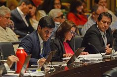 Foto de la galería: Misiones tendrá su Instituto de Medicina Regenerativa y Traslacional