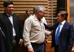 Foto de la galería: Misiones tendrá su Instituto de Medicina Regenerativa y Traslacional