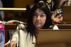 Foto de la galería: Misiones tendrá su Instituto de Medicina Regenerativa y Traslacional