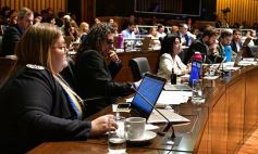 Foto de la galería: Misiones tendrá su Instituto de Medicina Regenerativa y Traslacional