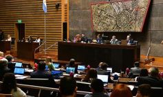 Foto de la galería: Misiones tendrá su Instituto de Medicina Regenerativa y Traslacional