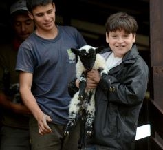 Foto de la galería: Cabaña La Armonía, cría ovina y cocina artesanal en un entorno natural maravilloso