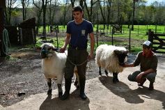 Foto de la galería: Cabaña La Armonía, cría ovina y cocina artesanal en un entorno natural maravilloso