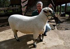 Foto de la galería: Cabaña La Armonía, cría ovina y cocina artesanal en un entorno natural maravilloso