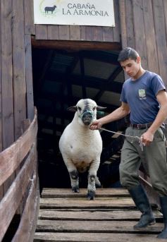 Foto de la galería: Cabaña La Armonía, cría ovina y cocina artesanal en un entorno natural maravilloso