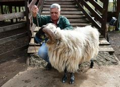 Foto de la galería: Cabaña La Armonía, cría ovina y cocina artesanal en un entorno natural maravilloso