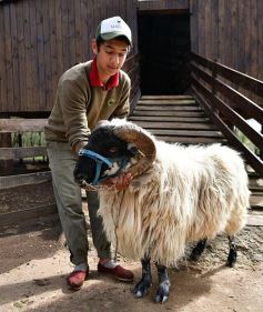Foto de la galería: Cabaña La Armonía, cría ovina y cocina artesanal en un entorno natural maravilloso