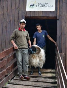 Foto de la galería: Cabaña La Armonía, cría ovina y cocina artesanal en un entorno natural maravilloso
