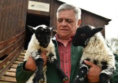 Foto de la galería: Cabaña La Armonía, cría ovina y cocina artesanal en un entorno natural maravilloso