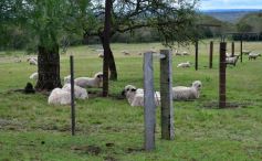 Foto de la galería: Cabaña La Armonía, cría ovina y cocina artesanal en un entorno natural maravilloso