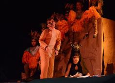 Foto de la galería: Talentos Posadas hizo una recreación fascinante del Rey León en el Montoya