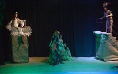 Foto de la galería: Talentos Posadas hizo una recreación fascinante del Rey León en el Montoya