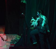 Foto de la galería: Talentos Posadas hizo una recreación fascinante del Rey León en el Montoya