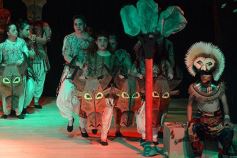 Foto de la galería: Talentos Posadas hizo una recreación fascinante del Rey León en el Montoya