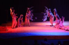 Foto de la galería: Talentos Posadas hizo una recreación fascinante del Rey León en el Montoya