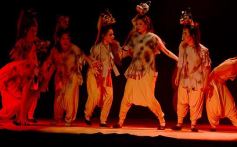 Foto de la galería: Talentos Posadas hizo una recreación fascinante del Rey León en el Montoya