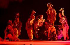 Foto de la galería: Talentos Posadas hizo una recreación fascinante del Rey León en el Montoya