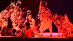 Foto de la galería: Talentos Posadas hizo una recreación fascinante del Rey León en el Montoya