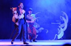 Foto de la galería: Talentos Posadas hizo una recreación fascinante del Rey León en el Montoya