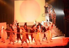 Foto de la galería: Talentos Posadas hizo una recreación fascinante del Rey León en el Montoya