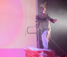 Foto de la galería: Talentos Posadas hizo una recreación fascinante del Rey León en el Montoya