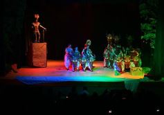 Foto de la galería: Talentos Posadas hizo una recreación fascinante del Rey León en el Montoya