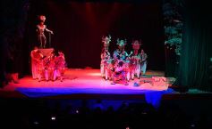 Foto de la galería: Talentos Posadas hizo una recreación fascinante del Rey León en el Montoya