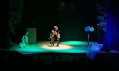 Foto de la galería: Talentos Posadas hizo una recreación fascinante del Rey León en el Montoya