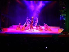 Foto de la galería: Talentos Posadas hizo una recreación fascinante del Rey León en el Montoya