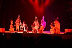 Foto de la galería: Talentos Posadas hizo una recreación fascinante del Rey León en el Montoya