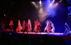 Foto de la galería: Talentos Posadas hizo una recreación fascinante del Rey León en el Montoya