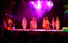 Foto de la galería: Talentos Posadas hizo una recreación fascinante del Rey León en el Montoya