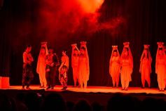 Foto de la galería: Talentos Posadas hizo una recreación fascinante del Rey León en el Montoya