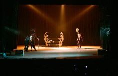 Foto de la galería: Talentos Posadas hizo una recreación fascinante del Rey León en el Montoya