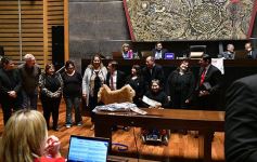 Foto de la galería: Ovación en la Legislatura para los campeones misioneros de la Copa Robótica 2019