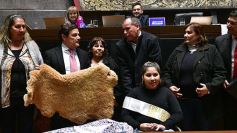 Foto de la galería: Ovación en la Legislatura para los campeones misioneros de la Copa Robótica 2019