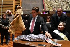 Foto de la galería: Ovación en la Legislatura para los campeones misioneros de la Copa Robótica 2019