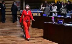 Foto de la galería: Ovación en la Legislatura para los campeones misioneros de la Copa Robótica 2019