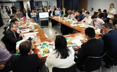 Foto de la galería: Presupuesto 2020 en la Cámara: Turismo y Energía de Misiones expusieron su previsión de gastos