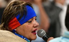 Foto de la galería: Presupuesto 2020 en la Cámara: Turismo y Energía de Misiones expusieron su previsión de gastos