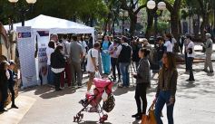 Foto de la galería: En su día, los farmacéuticos llevaron adelante en toda la provincia una campaña a favor de la vacunación