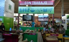 Foto de la galería: Los amigos en la Feria Forestal Argentina