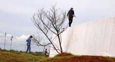 Foto de la galería: Ya está en marcha en Posadas el Mural más grande del mundo
