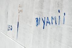 Foto de la galería: Ya está en marcha en Posadas el Mural más grande del mundo