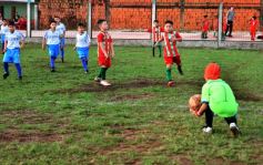 Foto de la galería: Fútbol Infantil: los futuros craks mostraron sus habilidades en la cancha de Brown