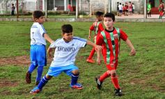 Foto de la galería: Fútbol Infantil: los futuros craks mostraron sus habilidades en la cancha de Brown