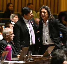 Foto de la galería: La Legislatura aprobó que sea obligatoria la publicación de todas las resoluciones del STJ