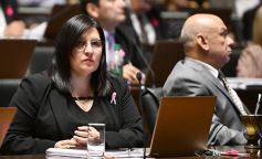 Foto de la galería: La Legislatura aprobó que sea obligatoria la publicación de todas las resoluciones del STJ